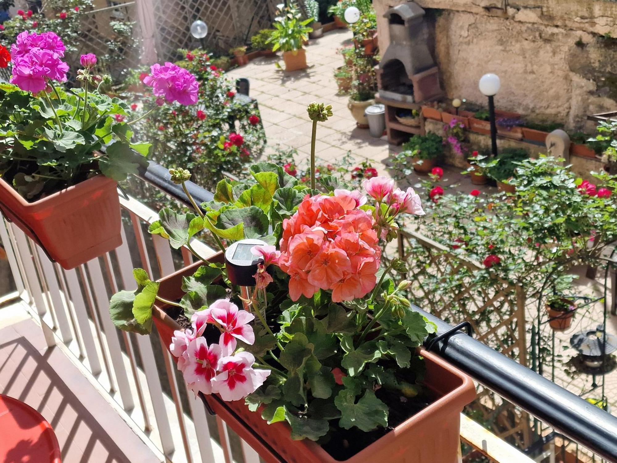 La Perla Bianca