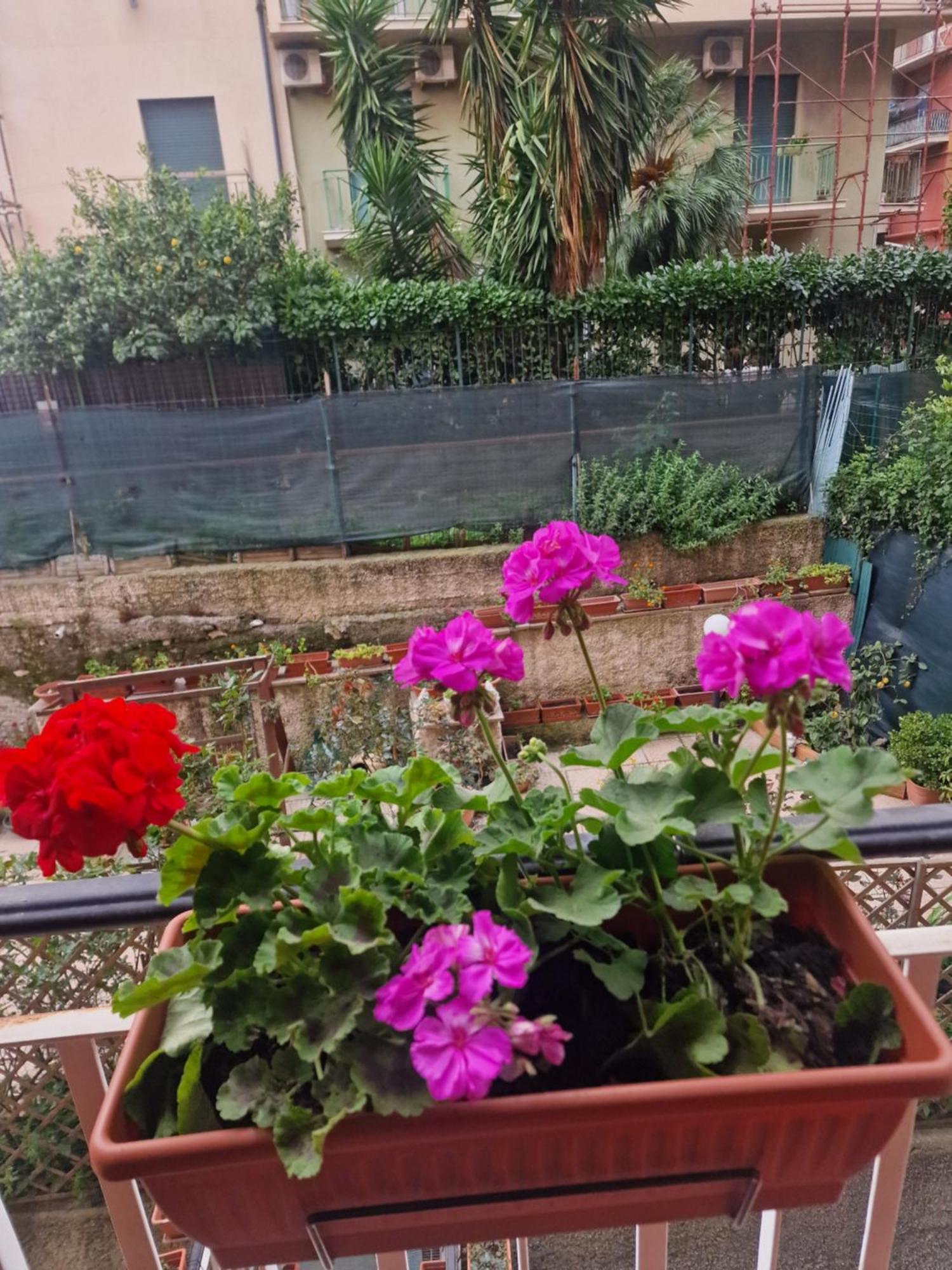 Apartment La Perla Bianca