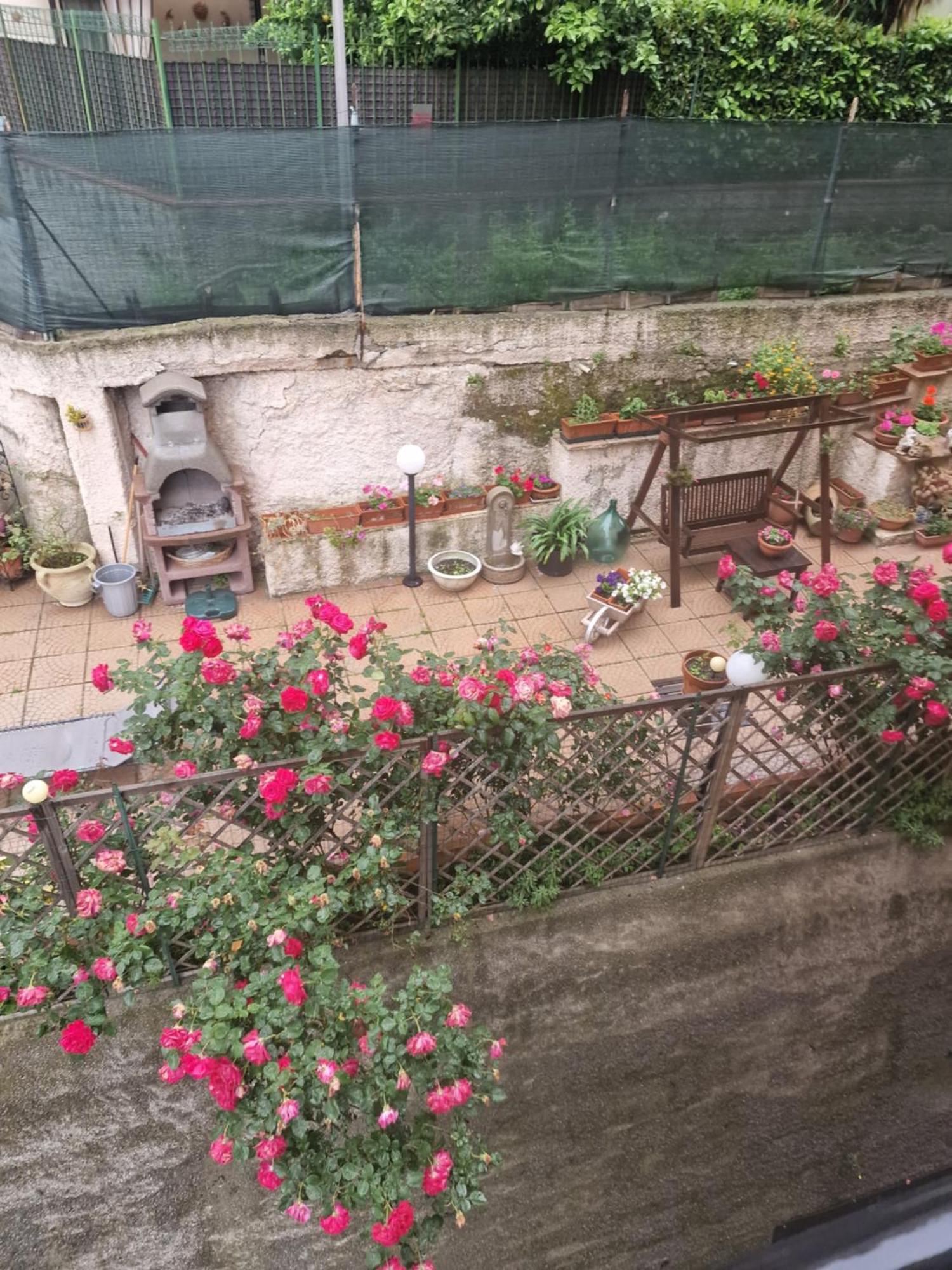 La Perla Bianca Apartment *