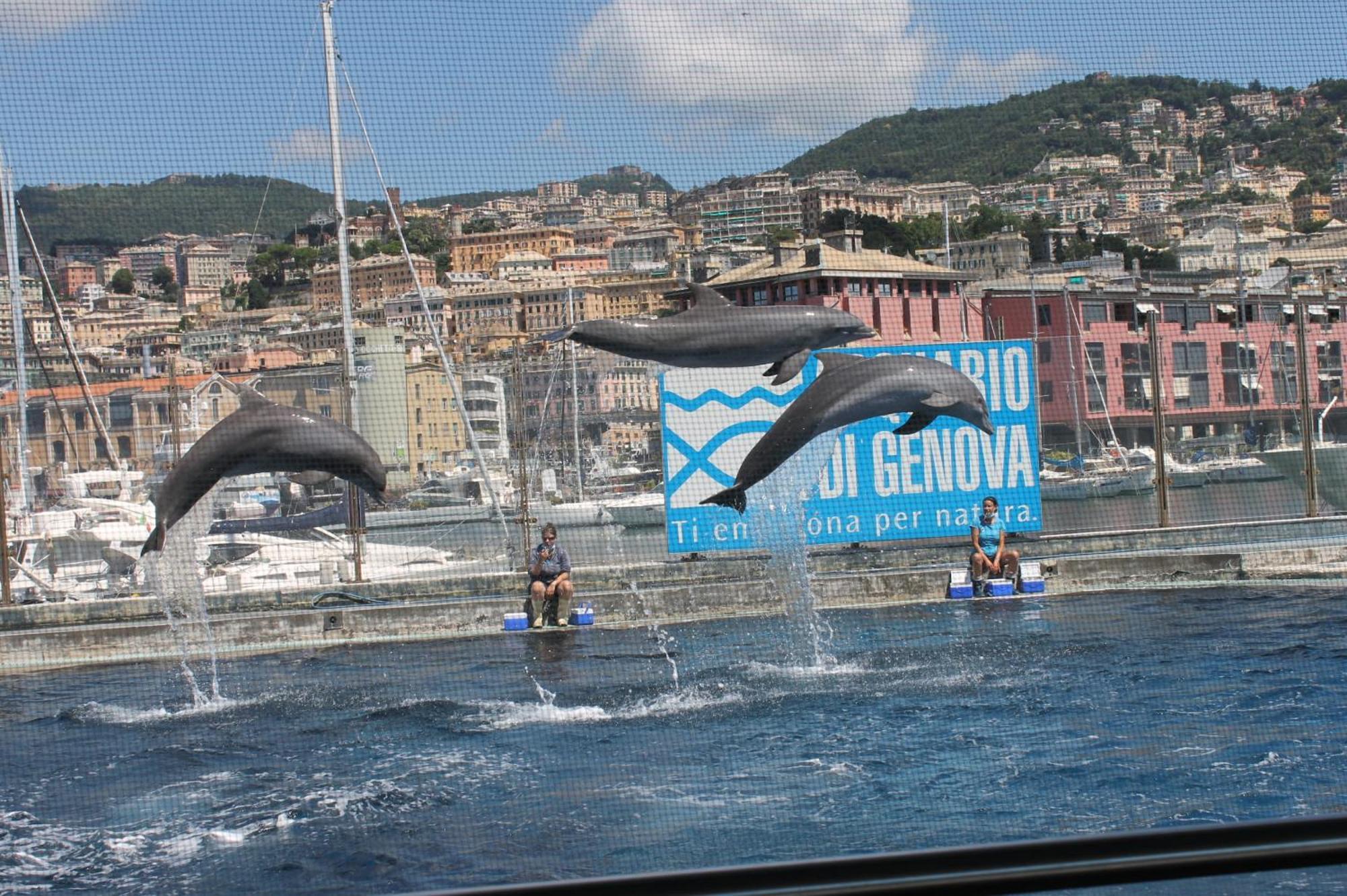 La Perla Bianca Apartment Genoa